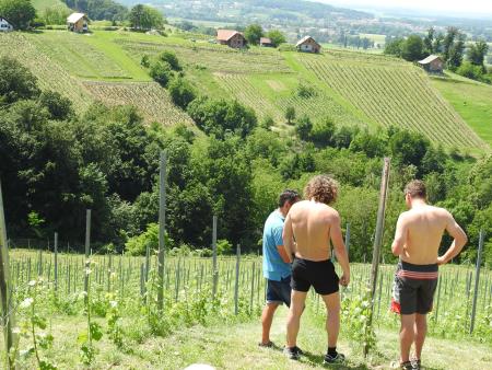 12. pohod Pomlad v prleških goricah Dan odprtih kleti in veselih ljudi, 28.5.2016 73